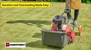 Aeration and Overseeding Made Easy