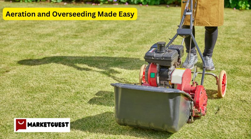 Aeration and Overseeding Made Easy