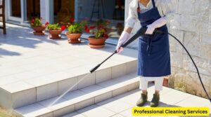 Professional Cleaning Services